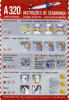 TAM_A320.jpg (134287 byte)